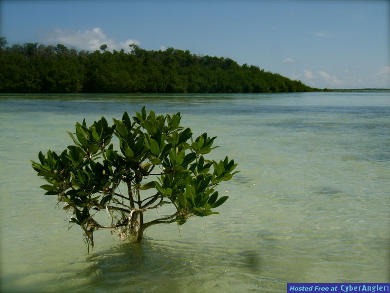 Key Flat Charters