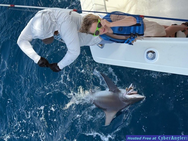 July_2025_shark