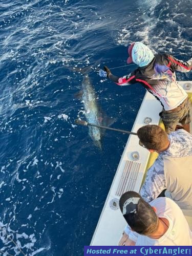 Click to Enlarge Photo