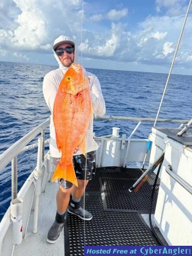 Click to Enlarge Photo