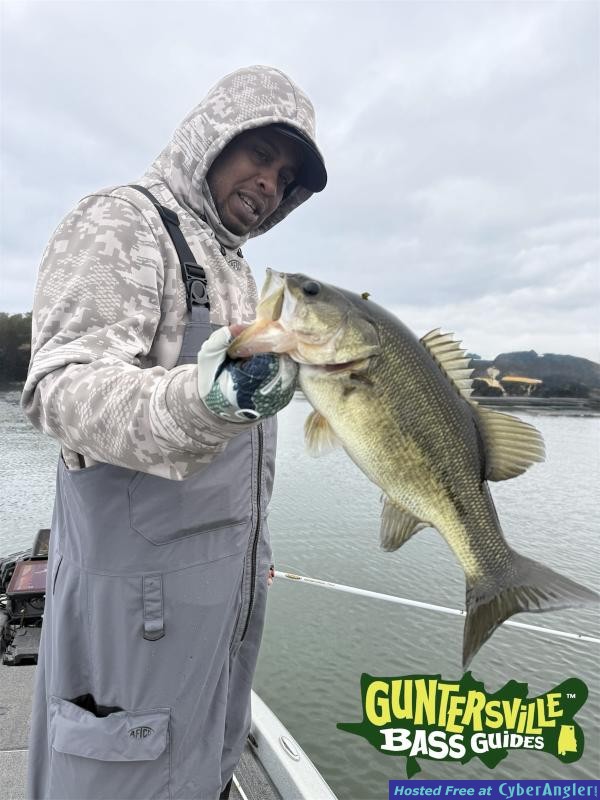 Photoroom_20251102_141726