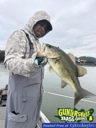 Click to Enlarge Photo