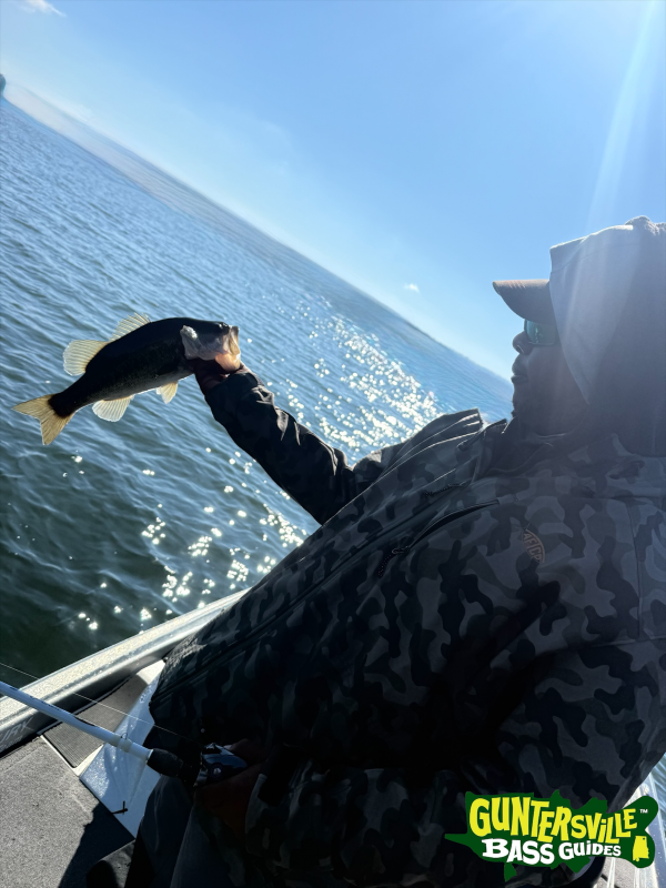 Photoroom_20251102_141531