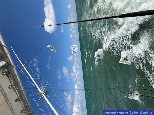 November_2025_Sailfish_flags