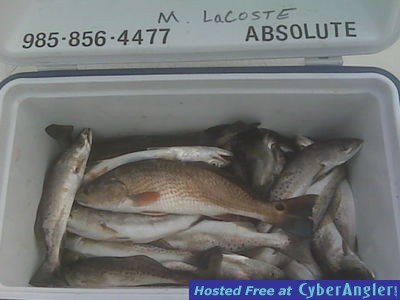 Click to Enlarge Photo