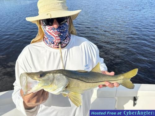 Click to Enlarge Photo