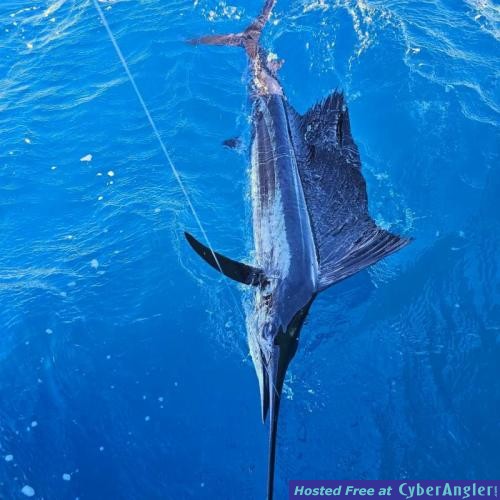 Click to Enlarge Photo