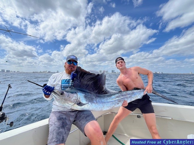 January_2026_Sailfish