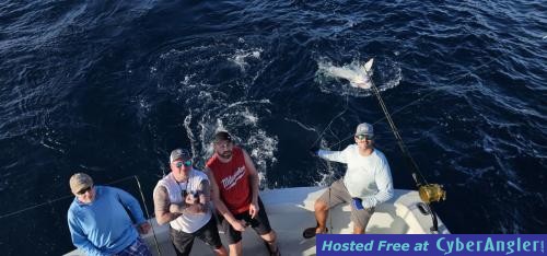 Click to Enlarge Photo