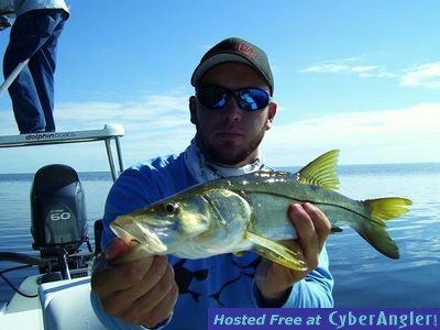 Click to Enlarge Photo