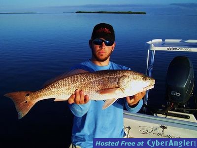 Click to Enlarge Photo