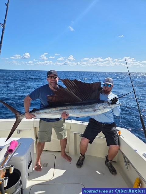 March_2026_Sailfish