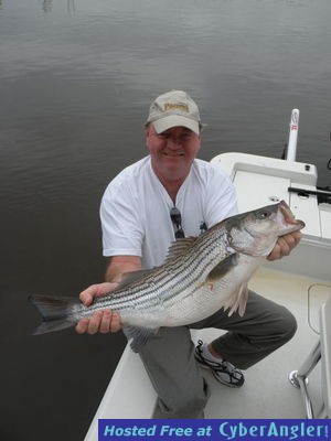 Cape Fear River Striped Bass