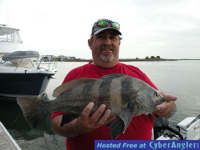 Click to Enlarge Photo