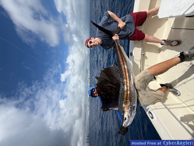 May_27_2026_Sailfish