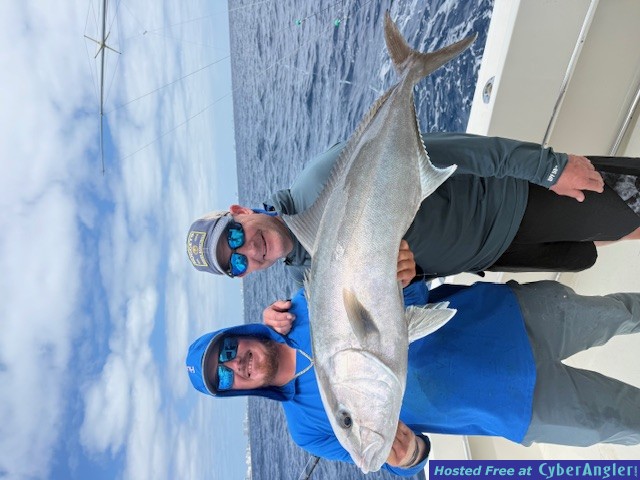 May_27_2026_Amberjack
