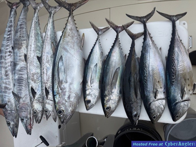 May_27_2026_Wahoo