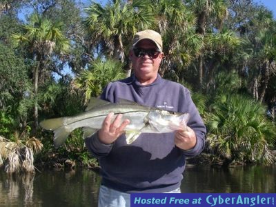 GV Cold water Snook