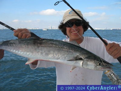 Click to Enlarge Photo