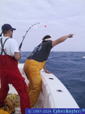 Click to Enlarge Photo