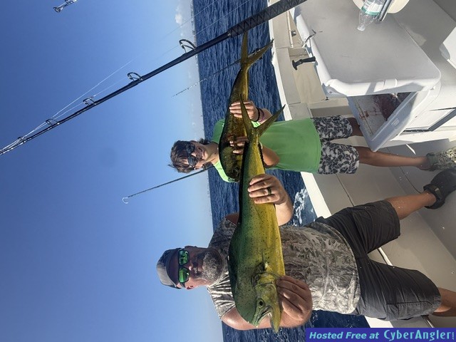 September_2026_Mahi2