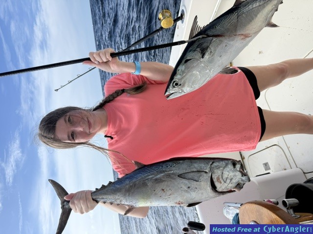 September_2026_Mackerel