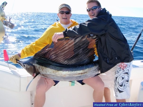 Hot Sailfish Action