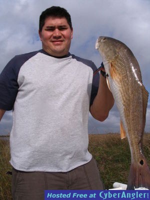 Click to Enlarge Photo