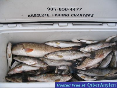 Click to Enlarge Photo