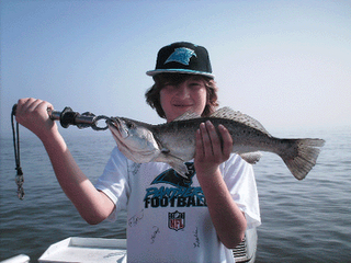 Click to Enlarge Photo