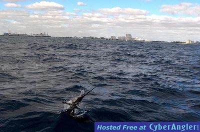 Click to Enlarge Photo