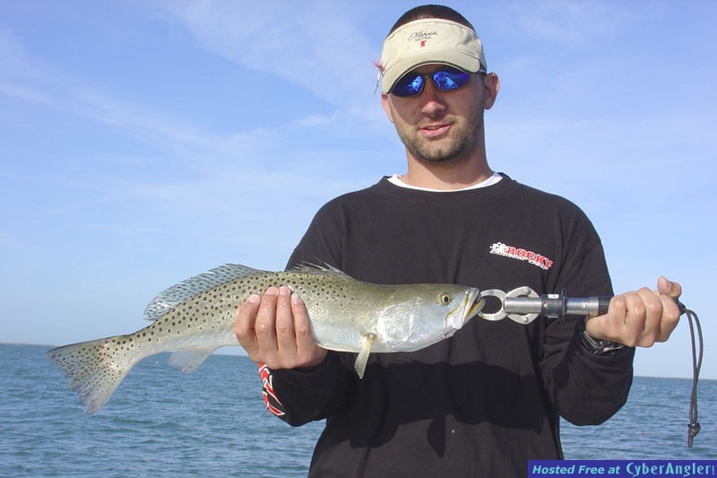 Winter Time Sea Trout