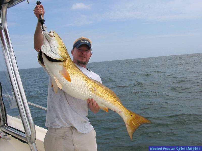 Carolina Redfish