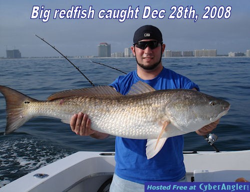 Redfish caught near Gulf Shores, Alabama