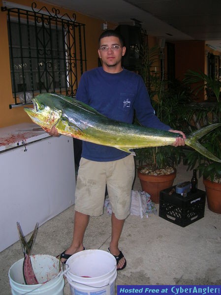 01_02_09_dolph