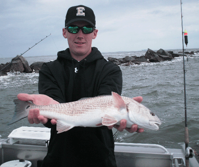 www.captdaves.com