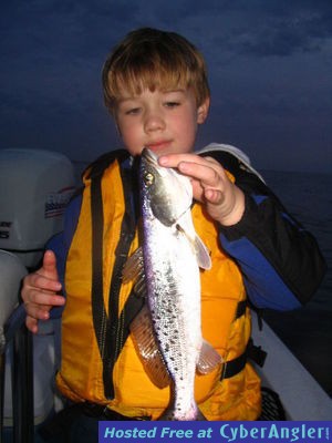 Click to Enlarge Photo