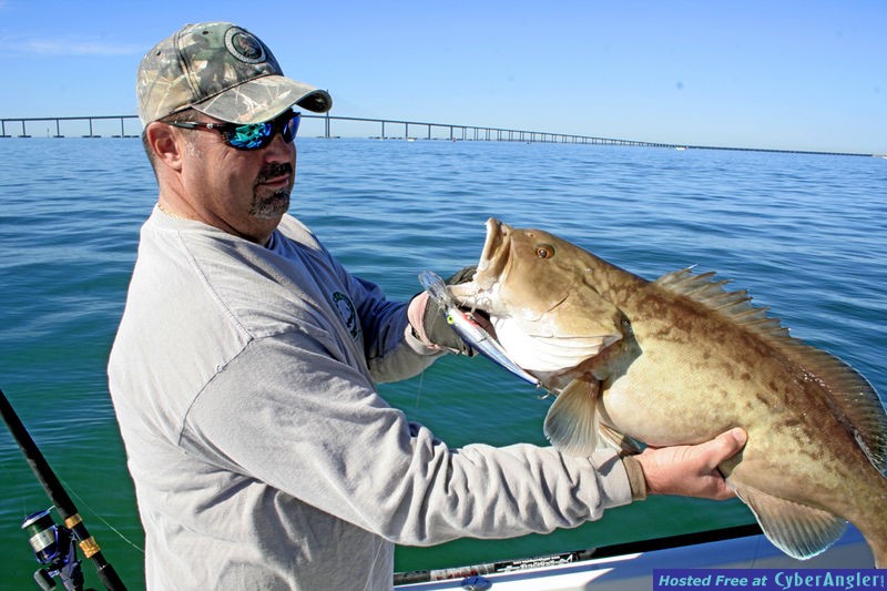 Capt. Mark Gore with Inshore Gag Grouper