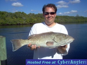 24 inch gag grouper