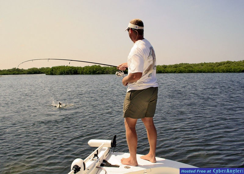 Shallow water redfish