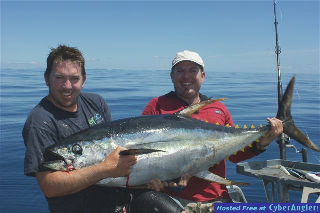 New Zealand Yellowfin Tuna