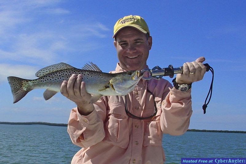 Trolling for Trout