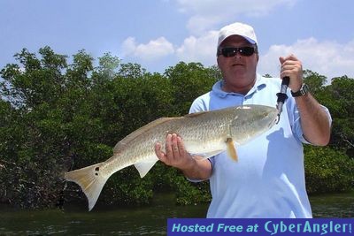 Click to Enlarge Photo