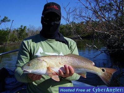 Click to Enlarge Photo