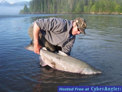 skeena river chinook king salmon