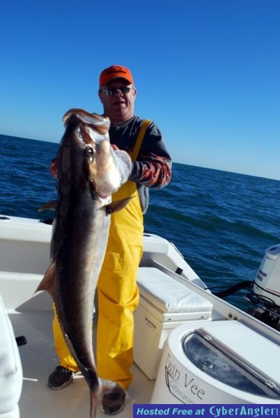 Amberjack