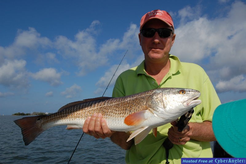Winter redfish