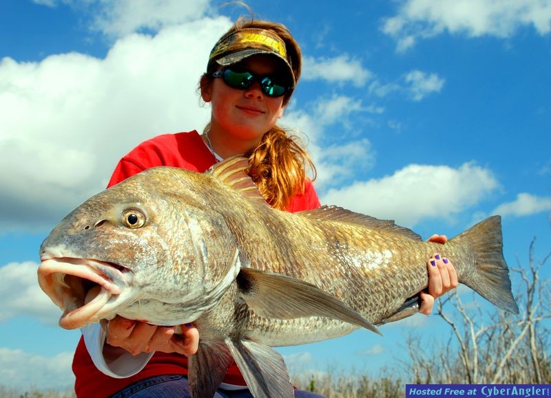 Flamingo Black Drum