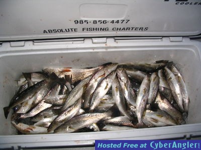 Click to Enlarge Photo