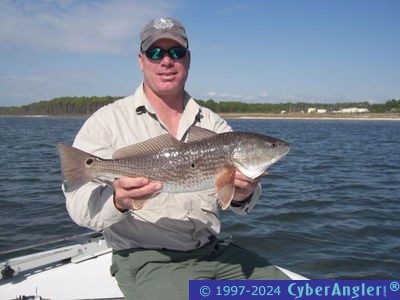 Click to Enlarge Photo